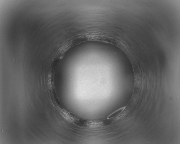 X0000053010670200507221315