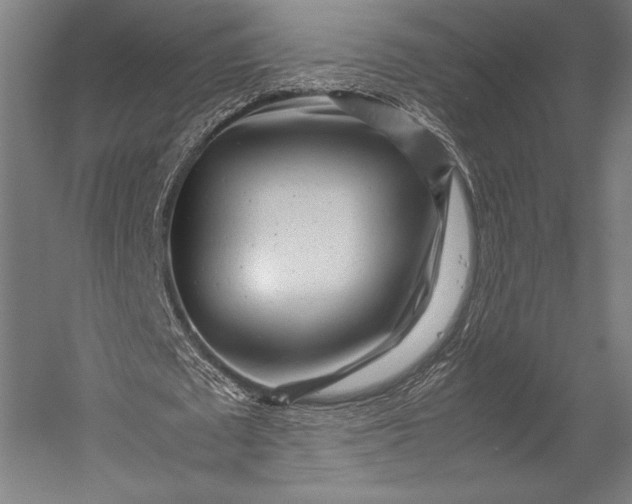 X0000053010673200507221314