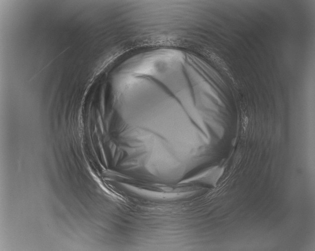 X0000053010674200507221314