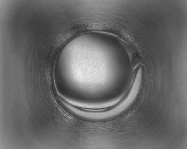 X0000053010681200507221314