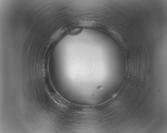 X0000053010682200507221314