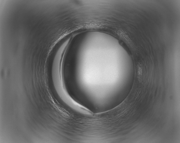 X0000053010684200507221314