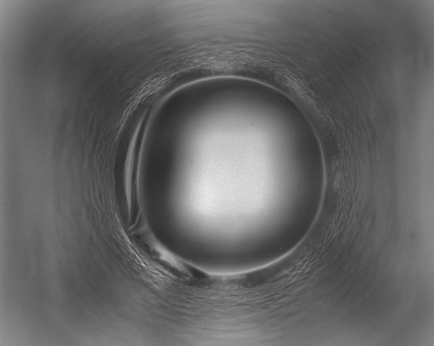 X0000053010685200507221314