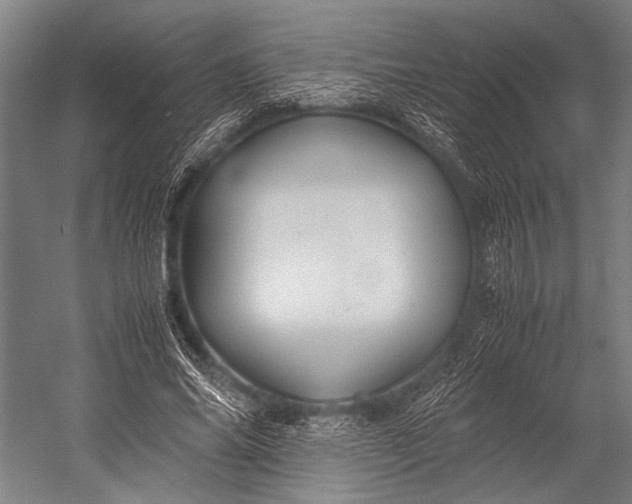 X0000053010686200507221314