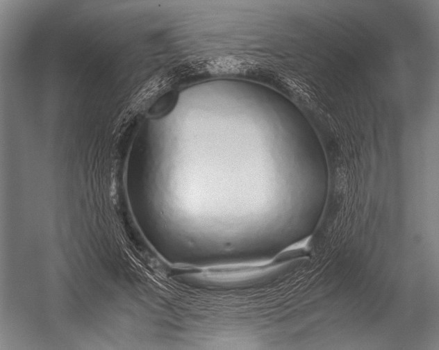 X0000053010687200507221314