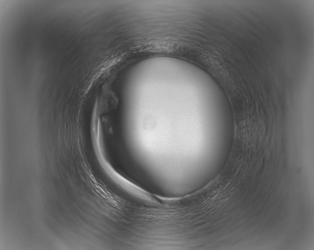 X0000053010688200507221314