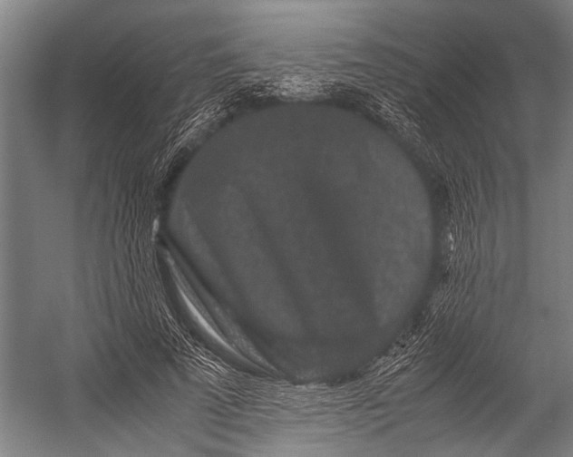 X0000053010689200507221314