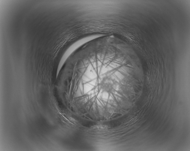 X0000053010691200507221314