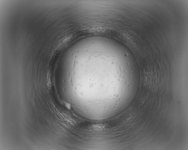 X0000053010692200507221314