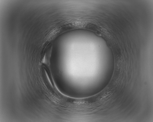 X0000053010693200507221314