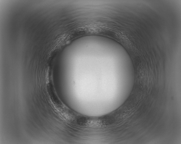 X0000053010694200507221314