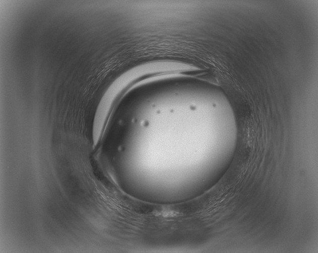 X0000053010695200507221313