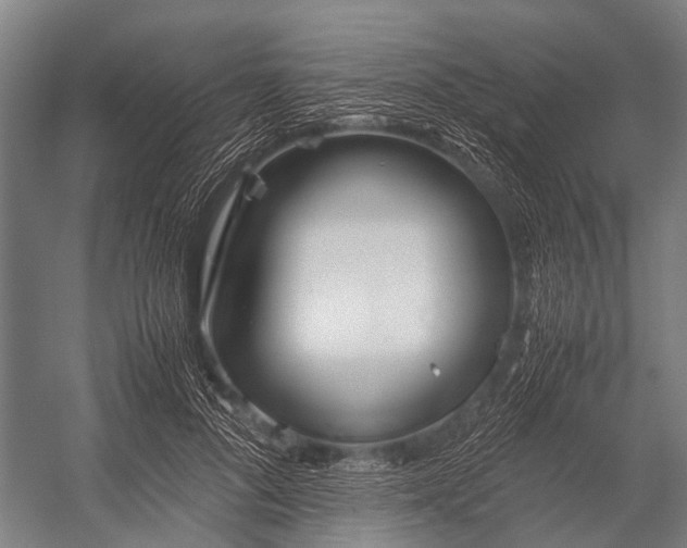 X0000053010696200507221313