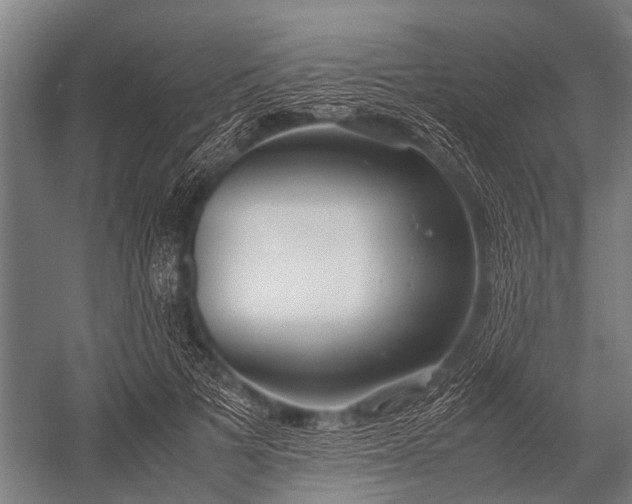 X0000053010697200507221313