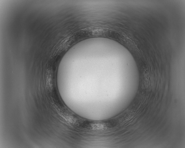 X0000053010698200507221313