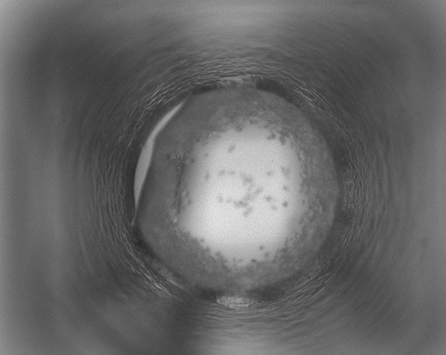 X0000053010699200507221313