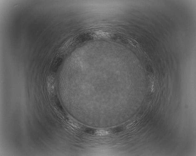 X0000053010701200507221313