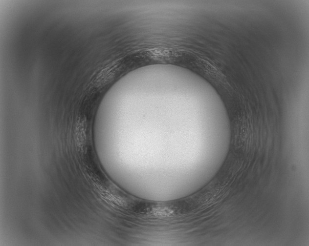 X0000053010702200507221313