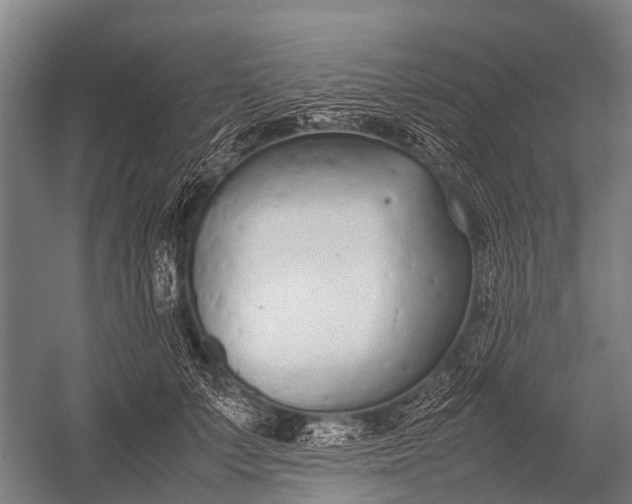 X0000053010703200507221313