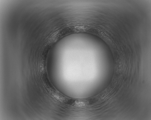 X0000053010706200507221313