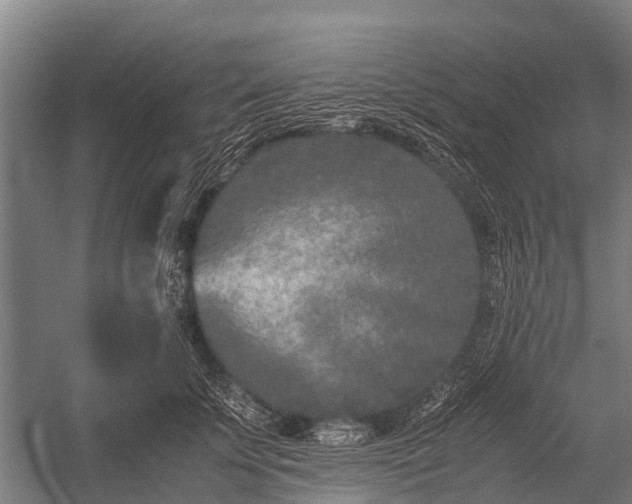 X0000053010707200507221313