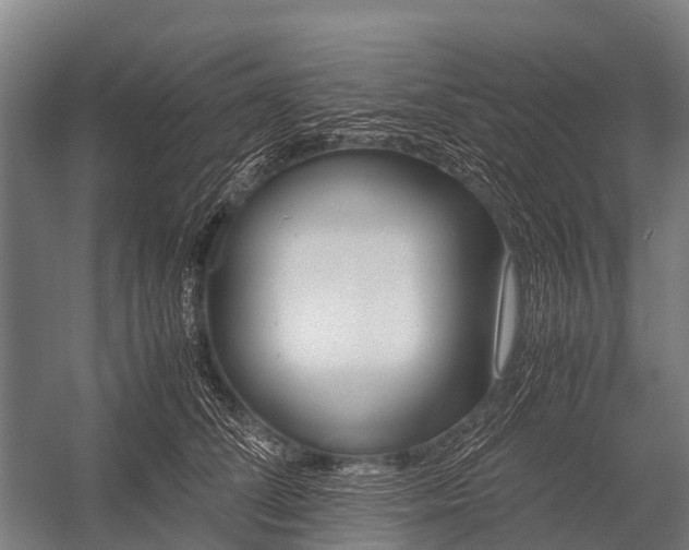 X0000053010708200507221313