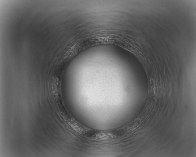 X0000053010712200507221313