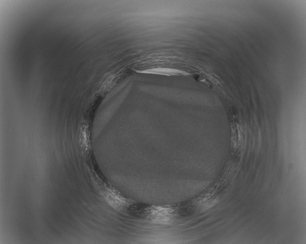 X0000053010718200507221313