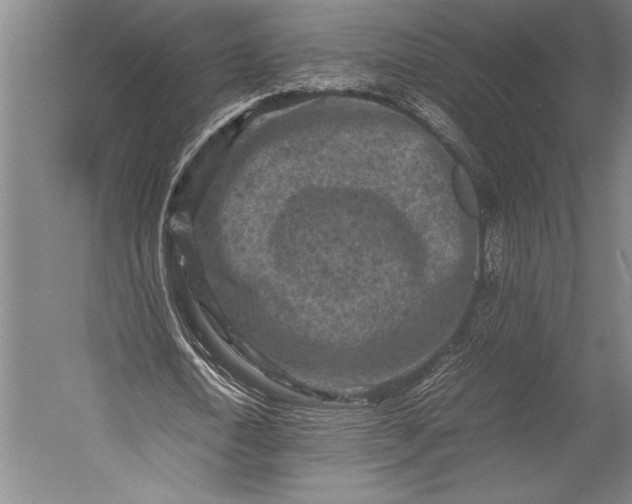 X0000053010722200507221312