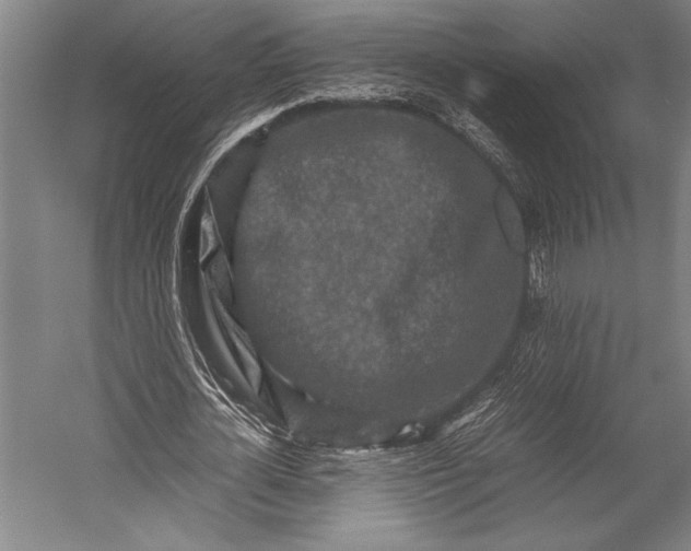 X0000053010724200507221312