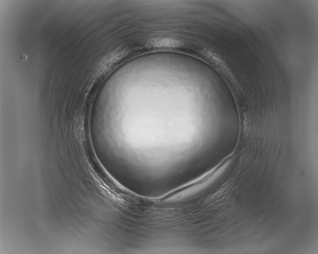 X0000053010725200507221312