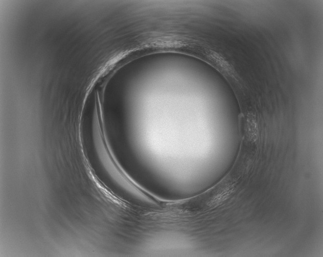 X0000053010726200507221312