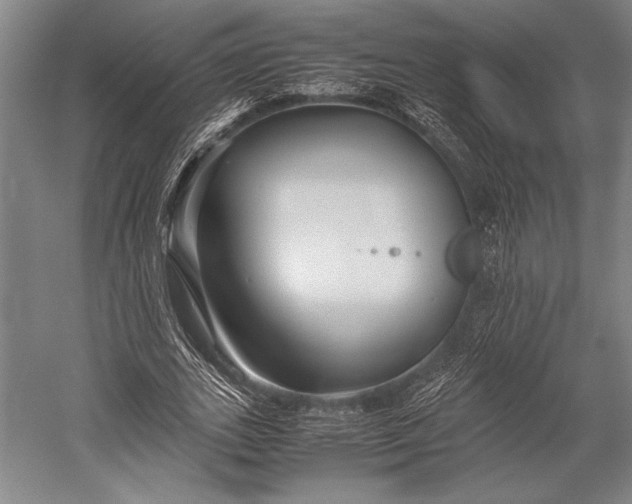 X0000053010727200507221312