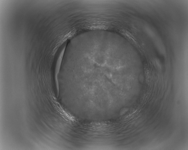 X0000053010729200507221312