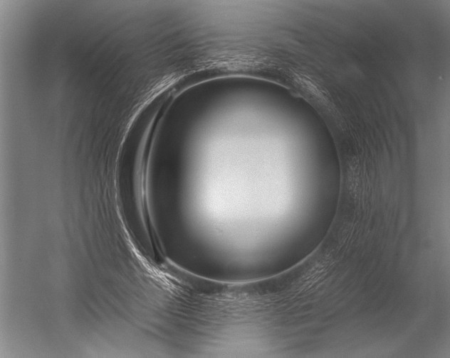 X0000053010730200507221312