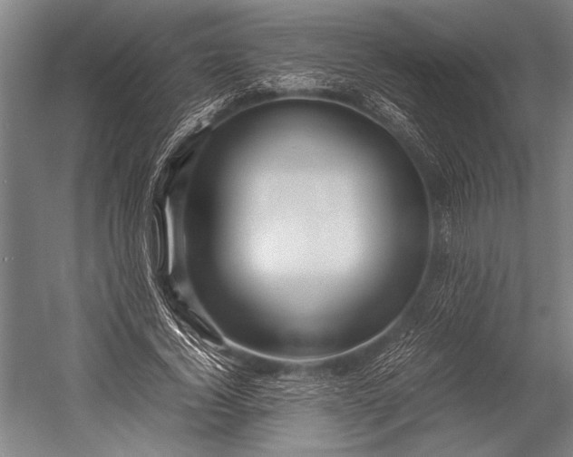 X0000053010732200507221312