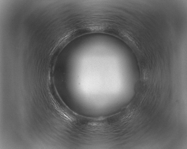 X0000053010733200507221312