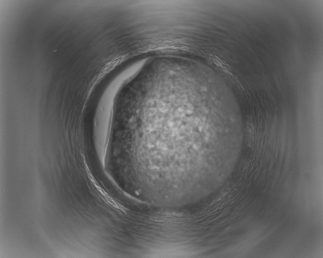 X0000053010734200507221312