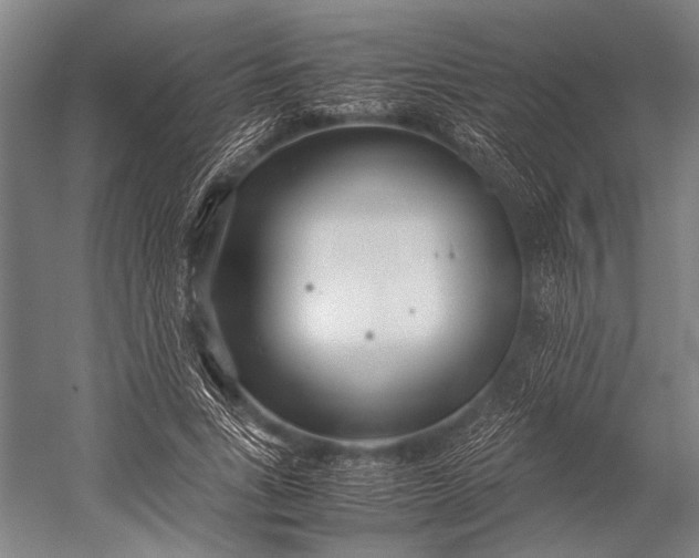 X0000053010735200507221312