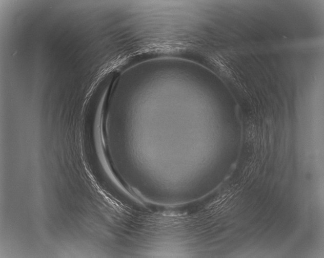 X0000053010736200507221312