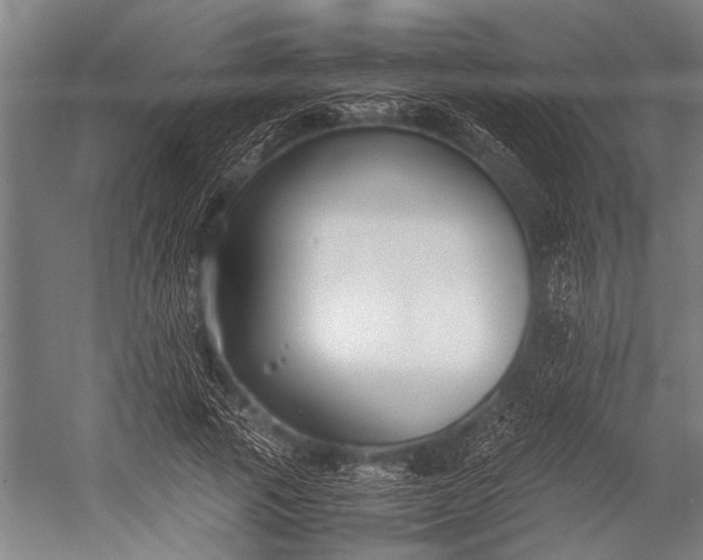 X0000053010737200507221313