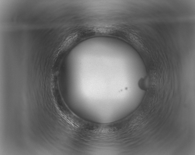 X0000053010738200507221313