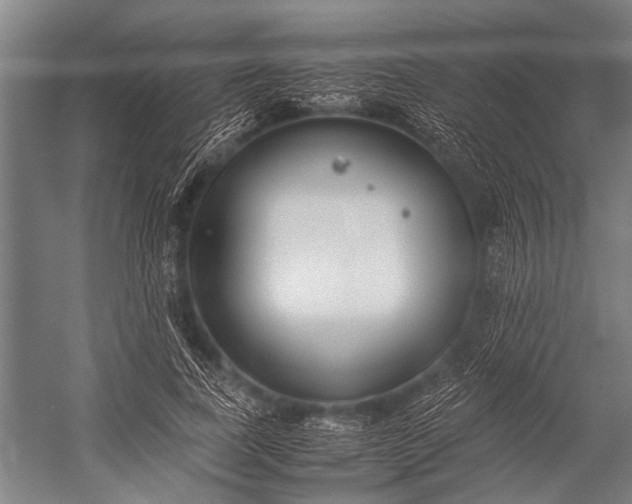 X0000053010739200507221313