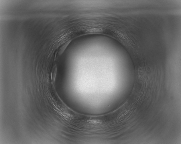 X0000053010741200507221313