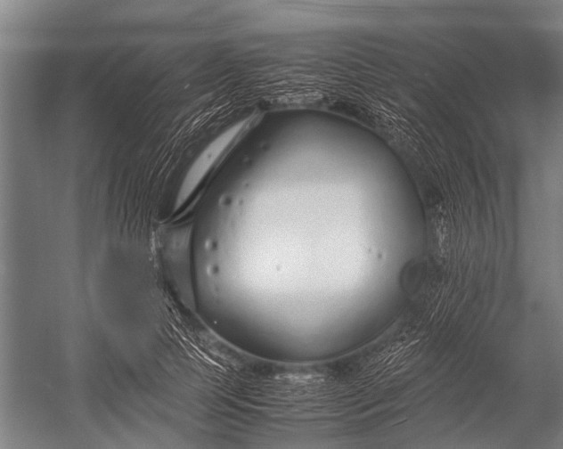 X0000053010745200507221313