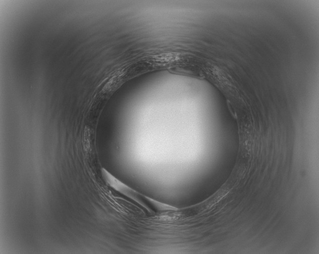 X0000053010758200507221313