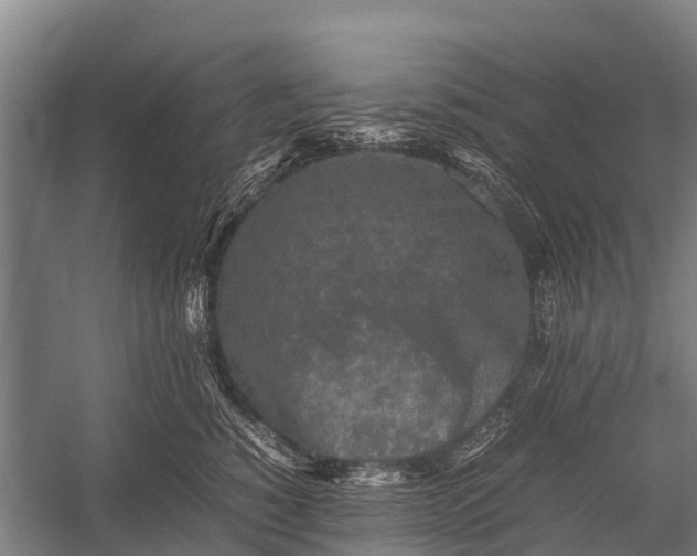 X0000053010760200507221313