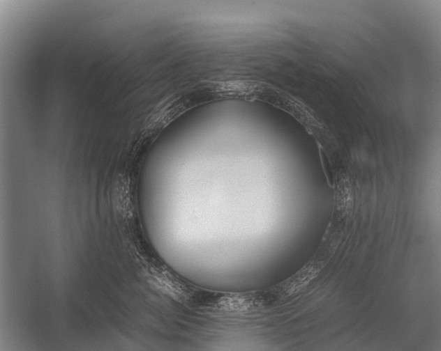 X0000053010764200507221313