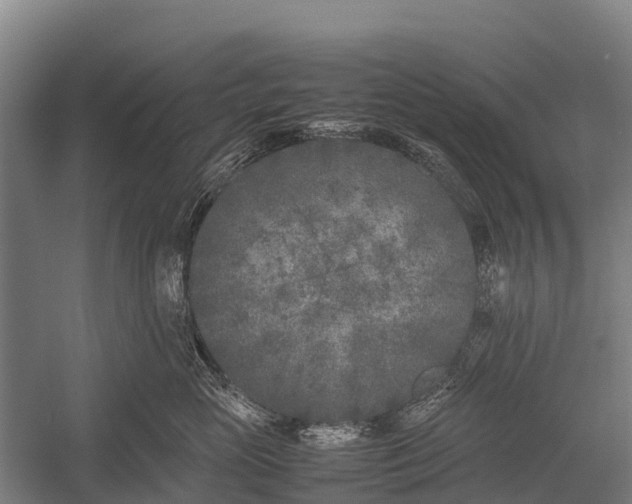 X0000053010765200507221313