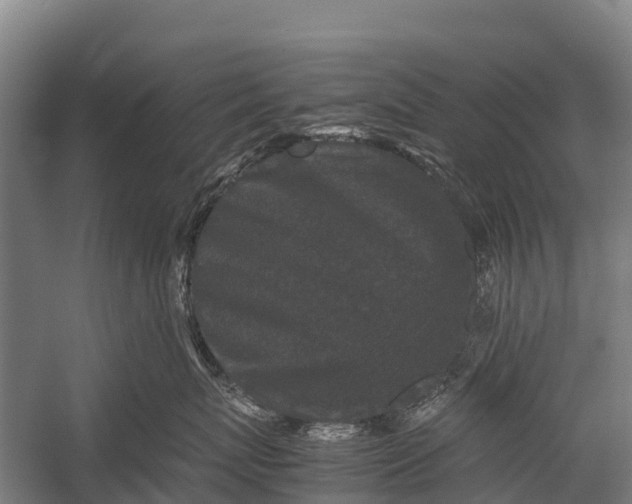 X0000053010767200507221313